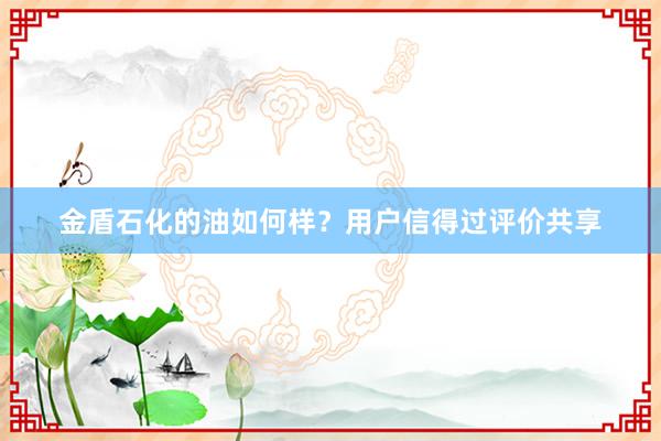 金盾石化的油如何样？用户信得过评价共享